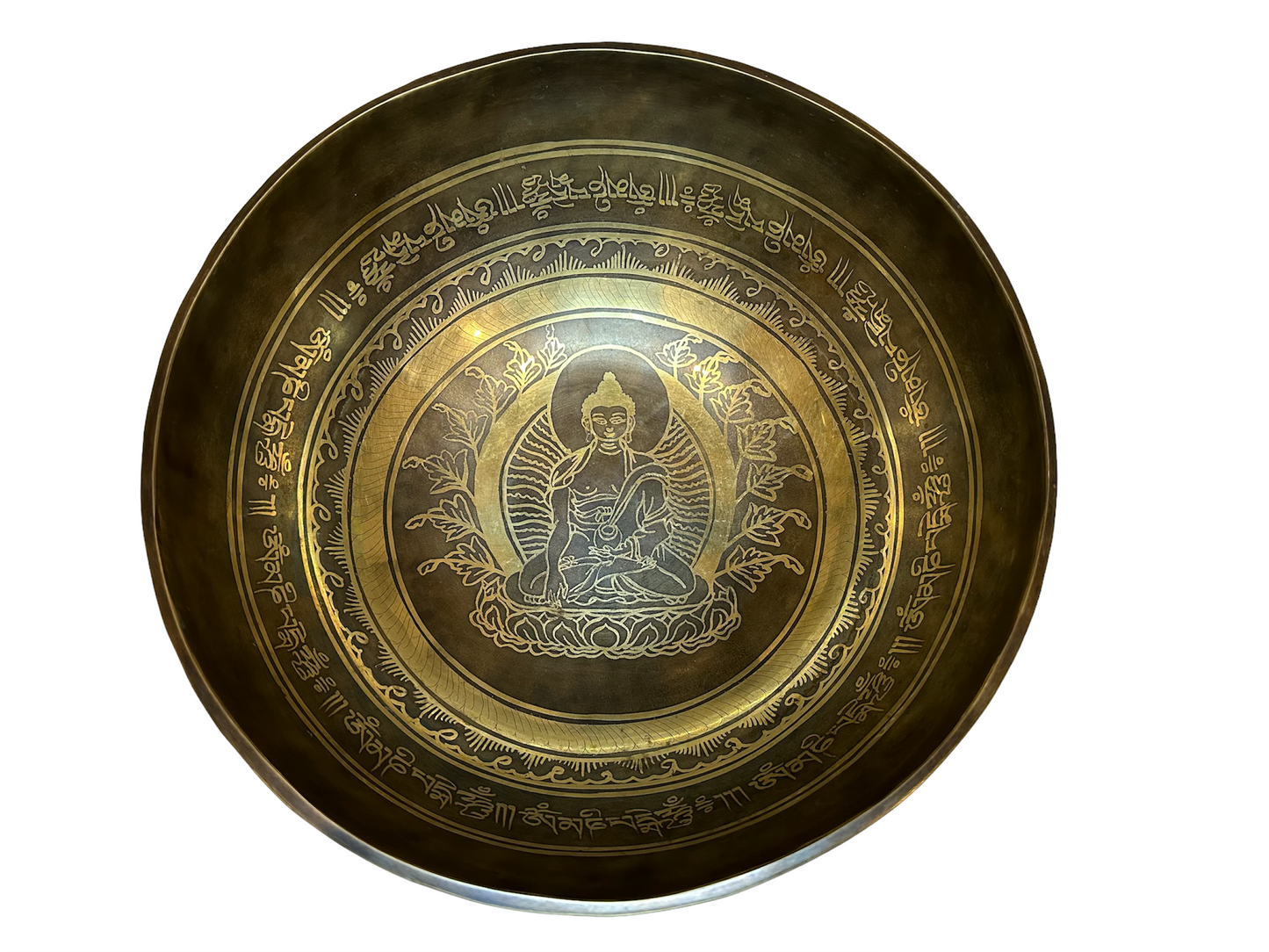 9.5" Art of Healing Buddha C Tone